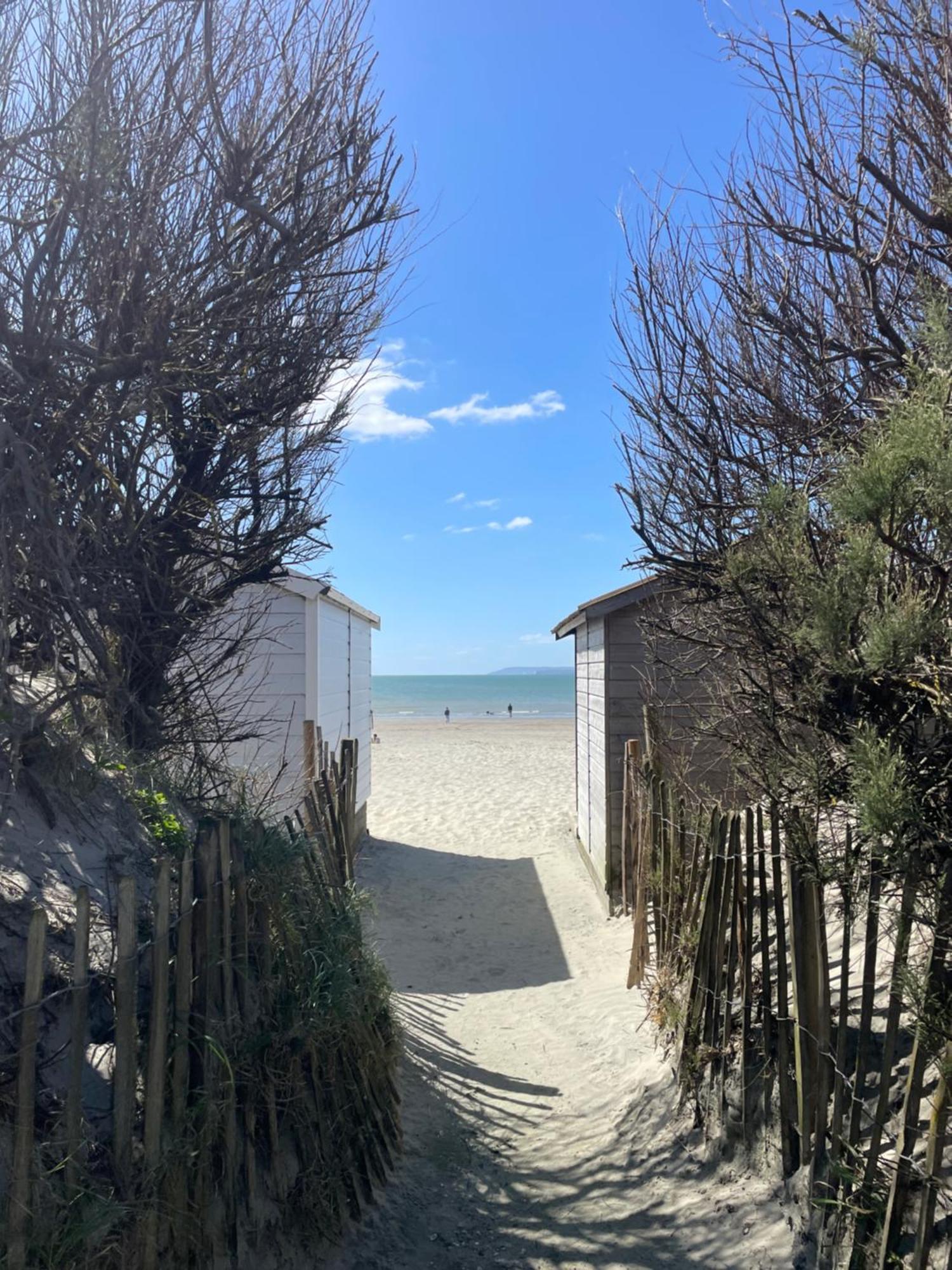 'Bramley Fall Cottage' ' On Site Ev Point - Attached Cottage,3 Separate Bedrooms -1 On Ground Level, Sleeps 6, 2 Bathrooms, Sandy Wittering Beach 8Min Drive, Rural Location, Child Friendly, Small Breed Dog Friendly, Private Parking Τσίτσεστερ Εξωτερικό φωτογραφία